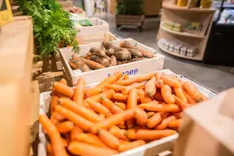 353-biocoop-chambonas-les-ptits-loubio-magasin-bio-carotte-fruit-legume-saison-local-1.webp