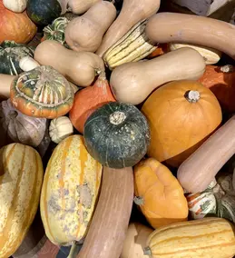 353-biocoop-chambonas-les-ptits-loubio-magasin-bio-legume-saison-hiver-courge-1.webp