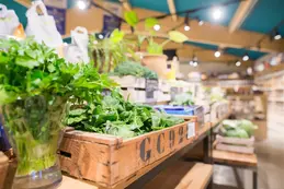 353-biocoop-chambonas-les-ptits-loubio-magasin-bio-legume-vert-salade-fruit-saison-1.webp