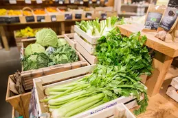 353-biocoop-chambonas-les-ptits-loubio-magasin-bio-salade-fruit-legume-local-1.webp