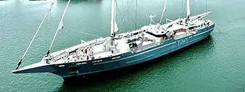 Du café dans le vent ! Du café dans le vent !